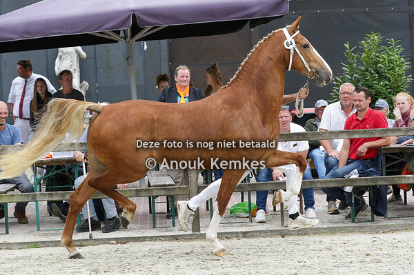 064 - RANDY ROSE M ROY M X PATIJN J.H. MITTENDORFF, DE KRIM