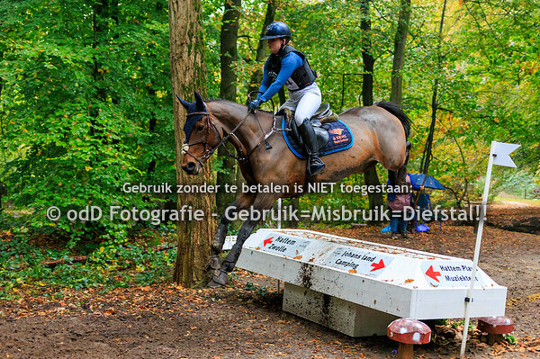 Molecaten Ruiterdagen Hattem Paarden B 19-10-24