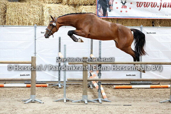08-07-2025 Stamboekkering Appingedam