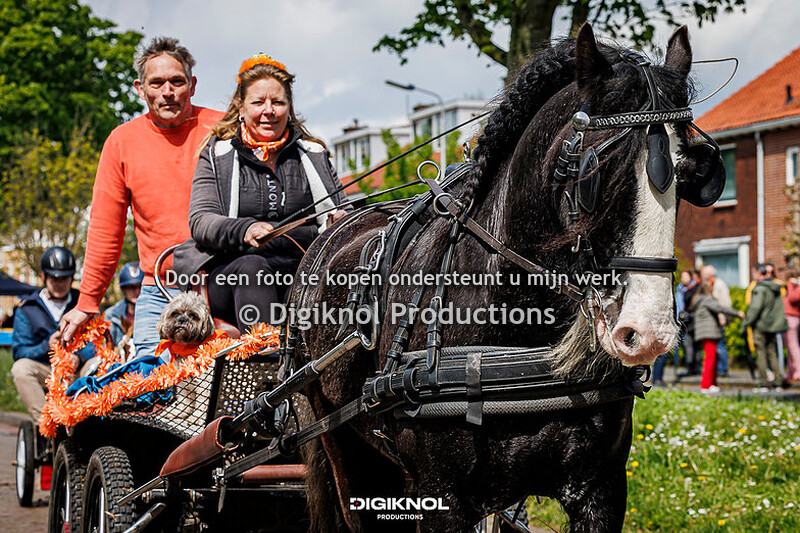 240427 koningsdag - paarden