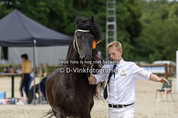 Rubriek 8 premiekeuring van 4 tot 6 jarigen