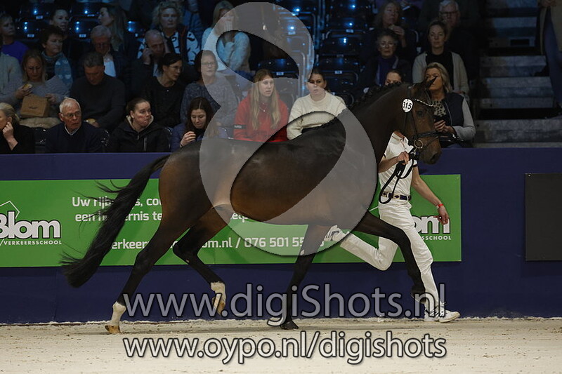 Ruig v. Bordeaux - 315