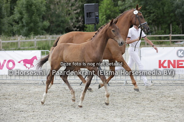 6 Skylger (Taminiau x Guleida v. Uphill)