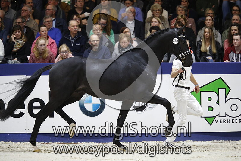 Liberty v. Desperado