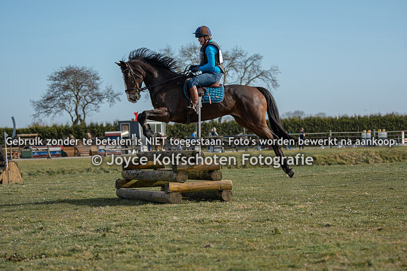 BB Paard (zonder dressuur)