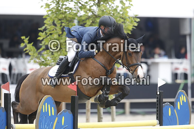 Dennis van den Brink