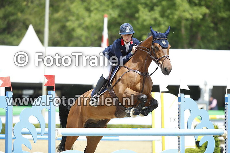 lily freeman attwood