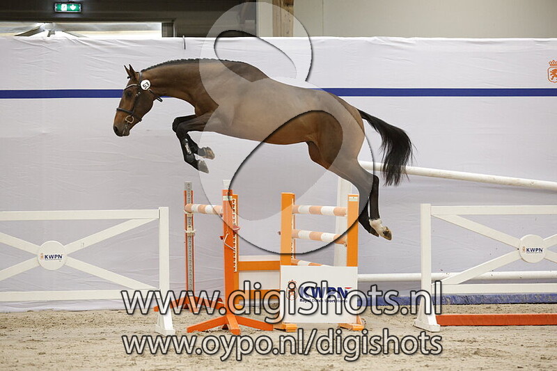 Cooper Z v. Copycat Z