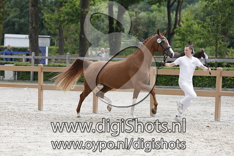 Sione van Heemstate v. Kyton