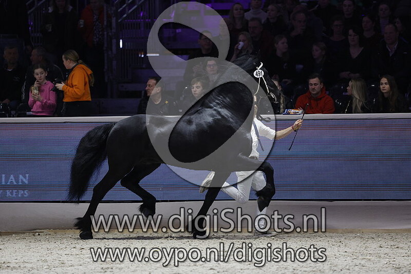 Markus 491 v. Maurits 437