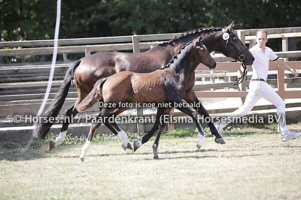 20 S'Il vous Plait vd Waalsehoeve (Nick Wimphof x Charmeur)