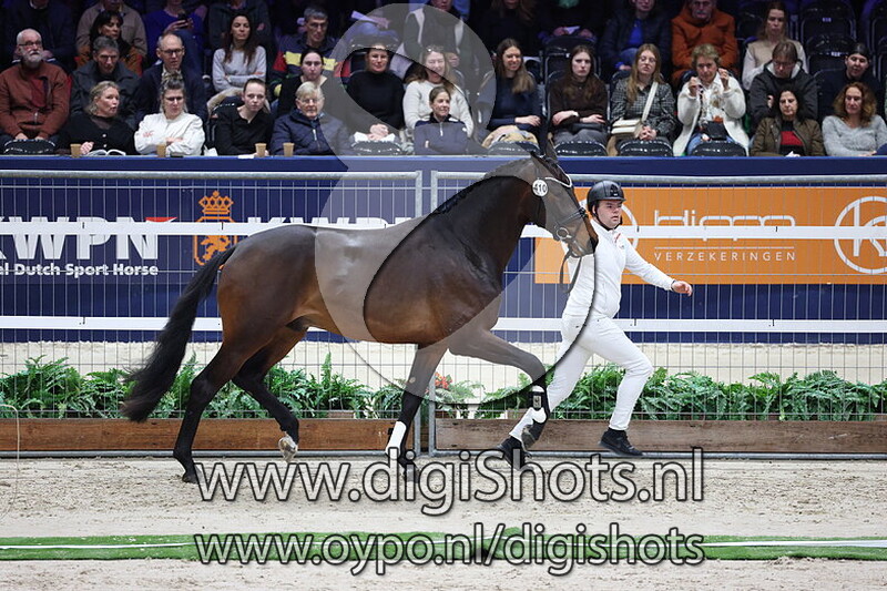 San Francisco KS v. Las Vegas