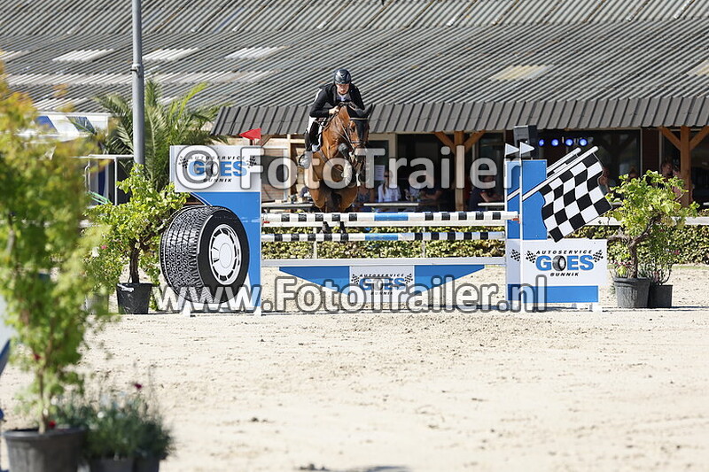 dennis van den brink