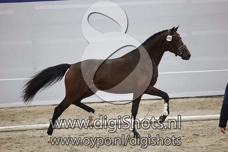 Puccini v. Le Formidable - 485