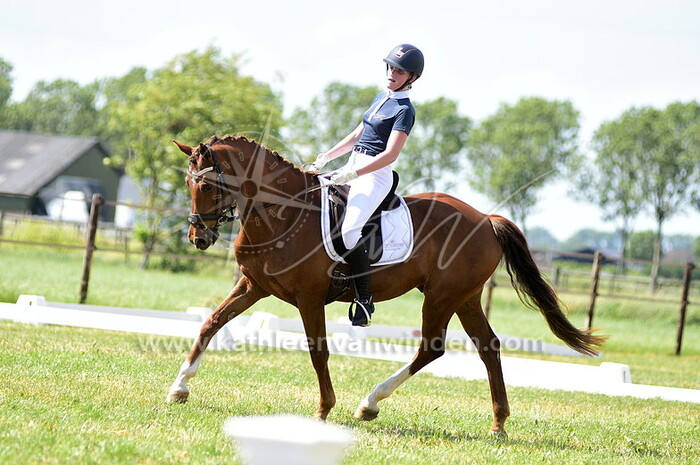 15.00 - 16.00 ring 5