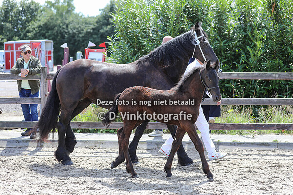 18. Wiebe mike Lieke E