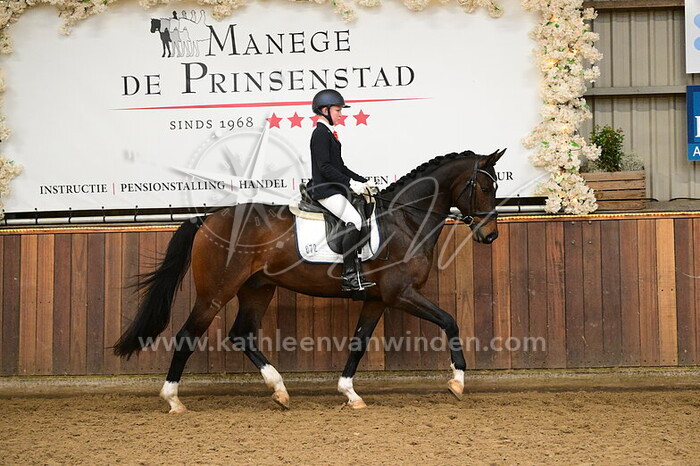 Thijs van Rossum - Sinisterra