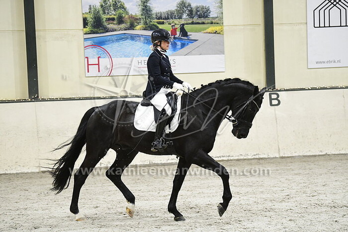 Roos Zuidema - Oxford