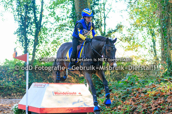 SGW Bathmen Paarden M 03-11-24