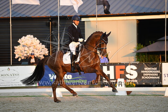 Philip van Oomen - Imme F