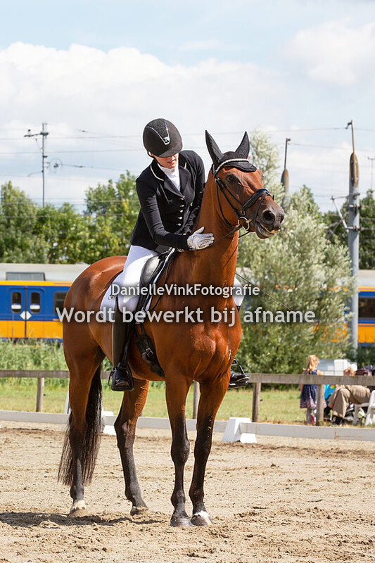 Renate Kloens - Ice Gold Spring SSS