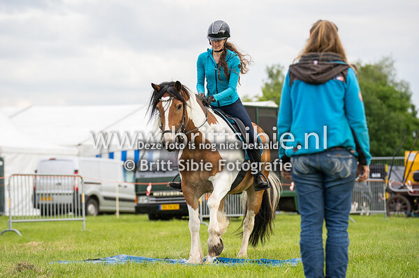 Eper Paardenvierdaagse - Eper Paarden4daagse MAANDAG