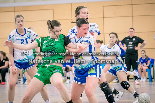 2026-01-24 Handbal: Westfriesland/SEW-HV Quintus (v)