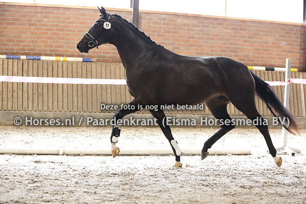 11 Summr Times ZB (For Romance x Happy-Times v. Charmeur)