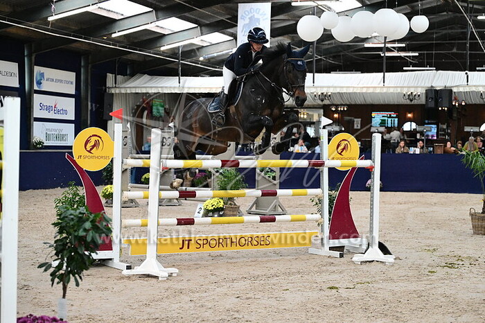 Ellen Zwijnenberg - Tinkerbell Z