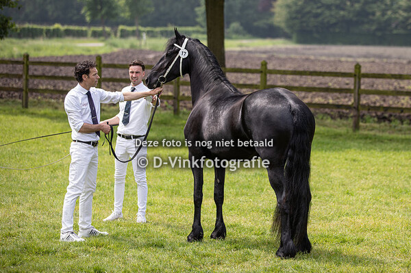 17. Romy van Bielefeld