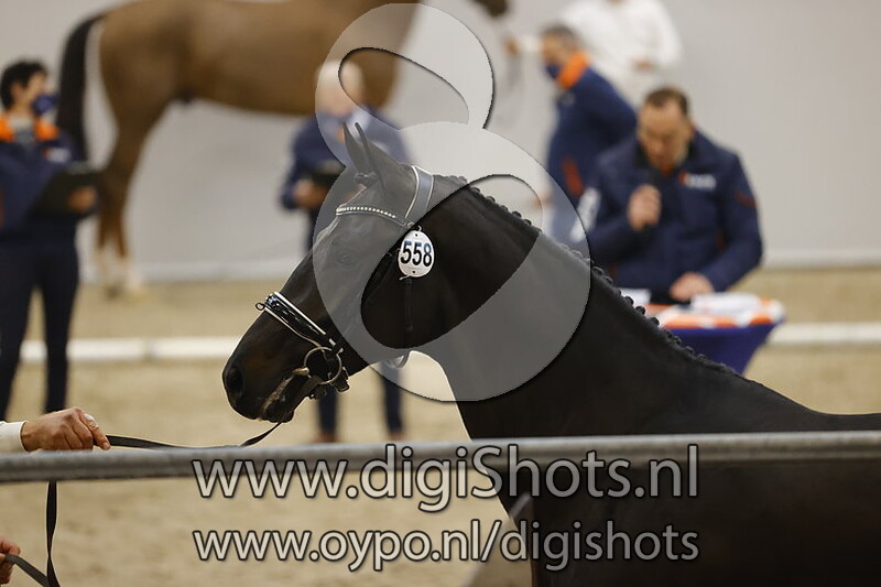 N Other Dimension OMHG v. Souveraen