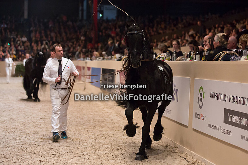 Hengstenkeuring 2018 Haitse 425