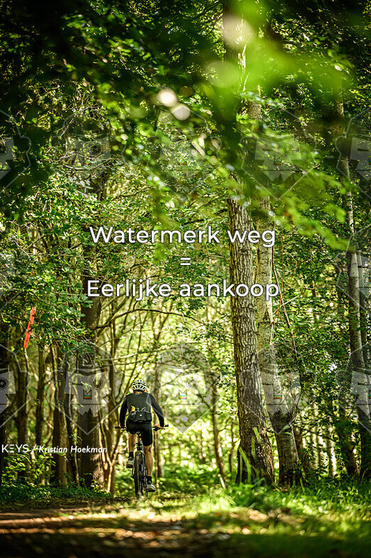 -- ONLINE --  Veldslag om Norg - 10:30 -11:30