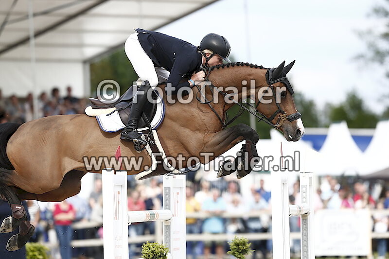 Dennis van den Brink