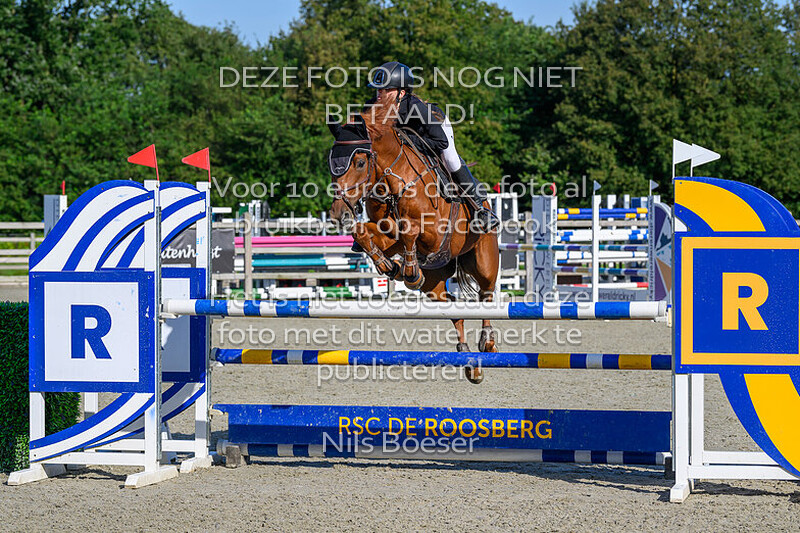 4 Pony's Klasse 110-120cm