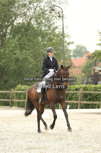 Denise Van den Dries