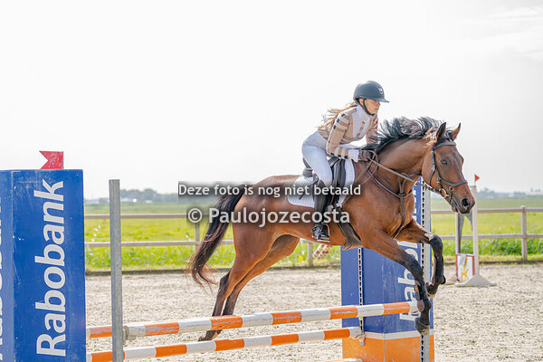 Bucephalus klasse 60/70 paarden