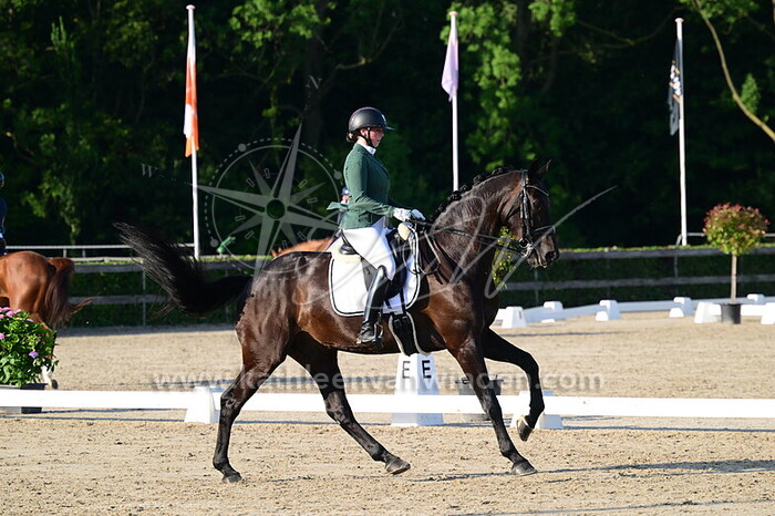 Anouk Fokken - Newton SKL