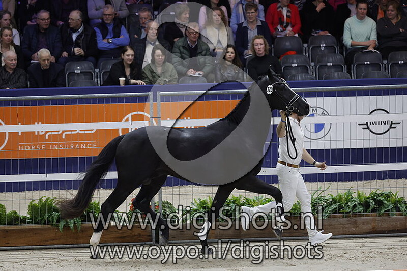 Paddock Wood Turfhorst v. Desperado - 320