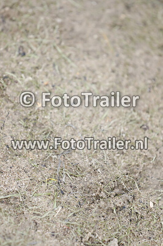 Prijsuitreiking Dressuur Zondag 24 juni