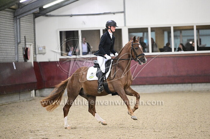 Femke Graveland - Sammy Mister Star R