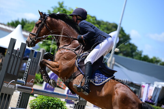 Renske Kroeze - Lux Like Cruise