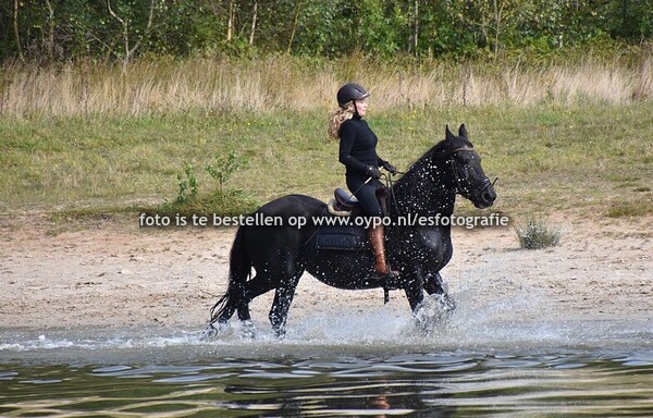 15-9-2024 Spartelvijver