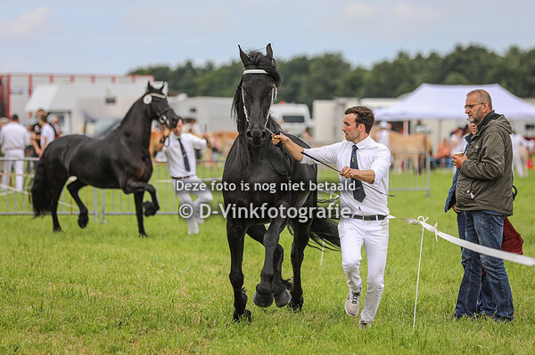 48.  Ialda van de Demro Stables