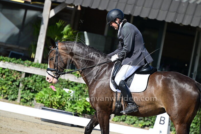 Dennis de Groot - Olla