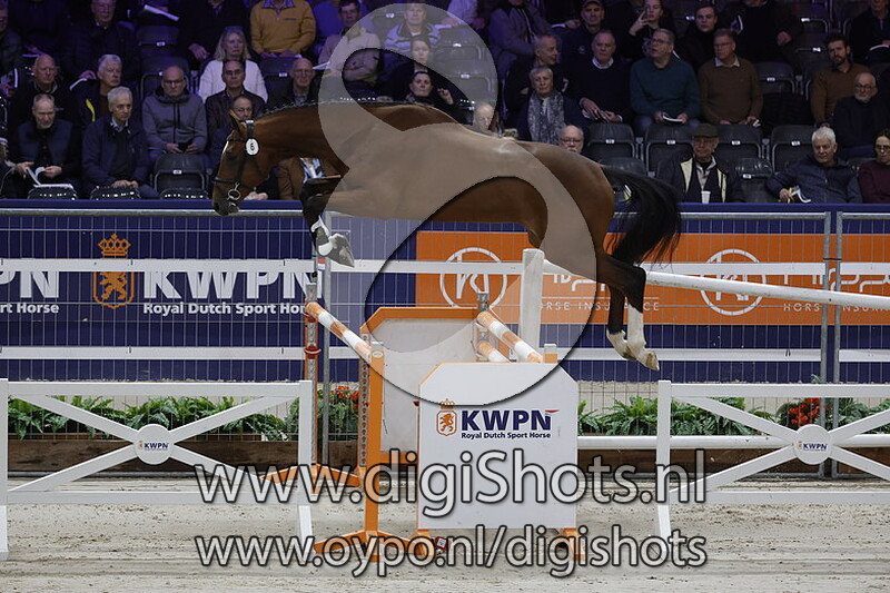 Puccini S v. Andiamo Semilly - 006