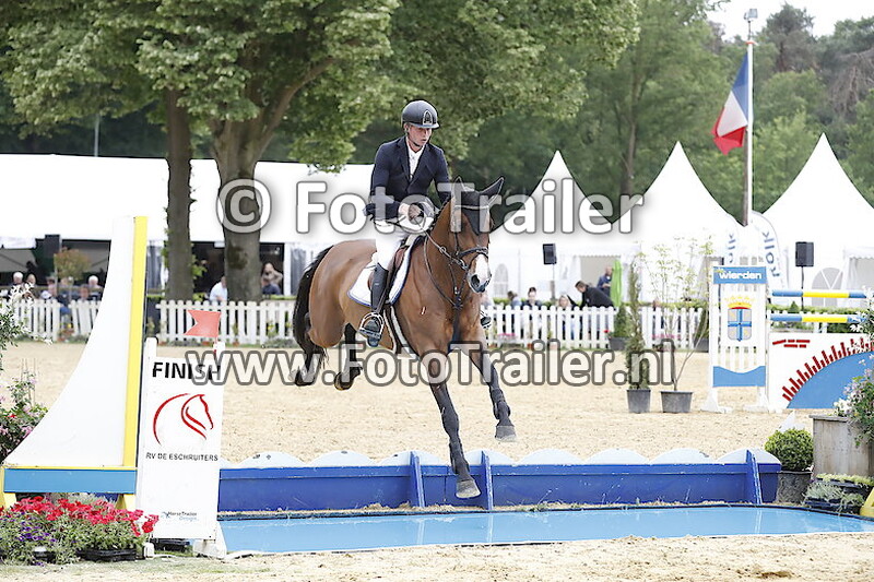 Dennis van den Brink