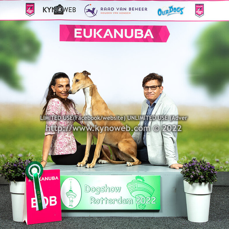 SUNDAY BOB & EXPRESS