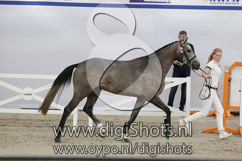 Parusa v. Hardrock Z