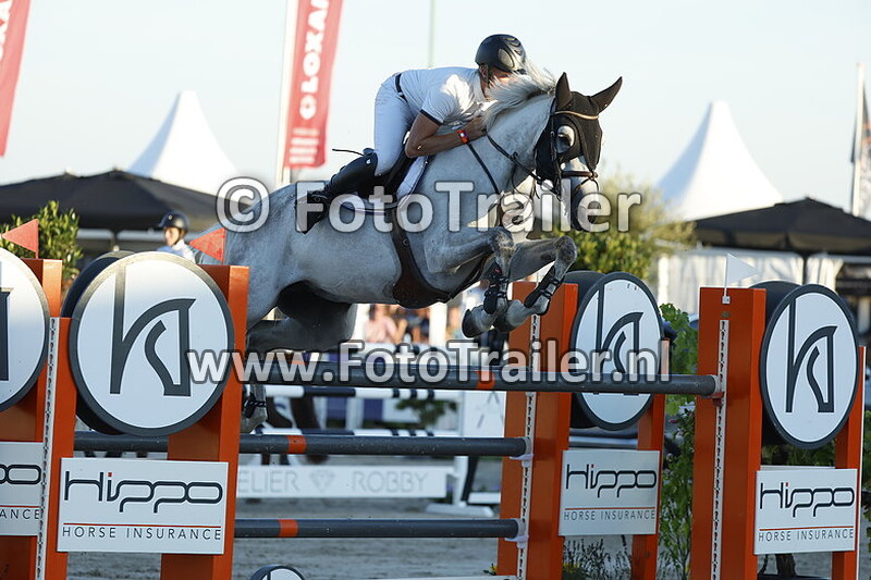 dennis van den brink